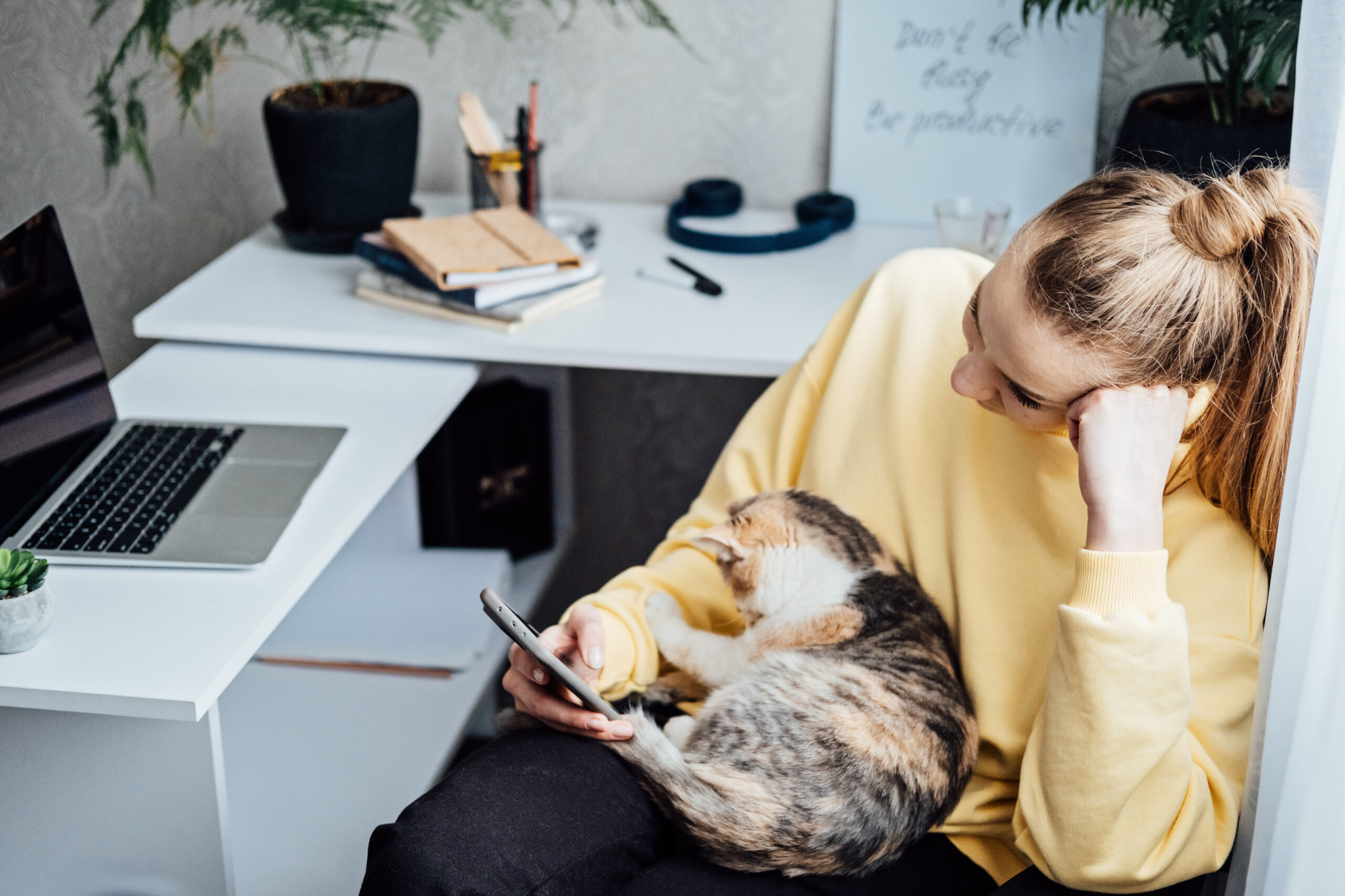 Woman freelance or procrastinate at workplace at home office. Self-employed businesswoman with cat distracted from work on laptop scrolling social media on smartphone